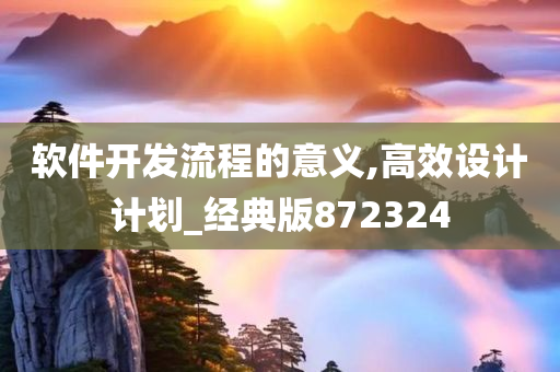 软件开发流程的意义,高效设计计划_经典版872324