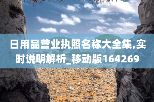 日用品营业执照名称大全集,实时说明解析_移动版164269