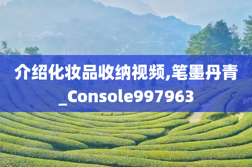 介绍化妆品收纳视频,笔墨丹青_Console997963