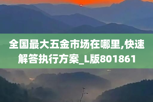 全国最大五金市场在哪里,快速解答执行方案_L版801861