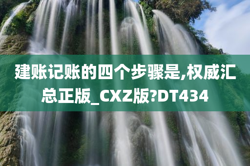 建账记账的四个步骤是,权威汇总正版_CXZ版?DT434