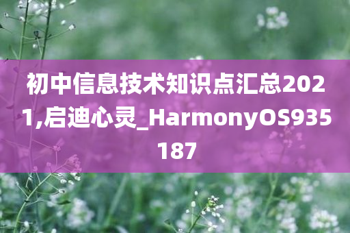 初中信息技术知识点汇总2021,启迪心灵_HarmonyOS935187