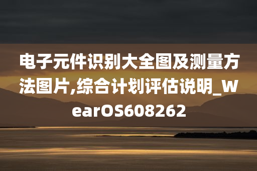 电子元件识别大全图及测量方法图片,综合计划评估说明_WearOS608262