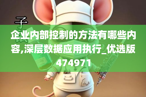 企业内部控制的方法有哪些内容,深层数据应用执行_优选版474971