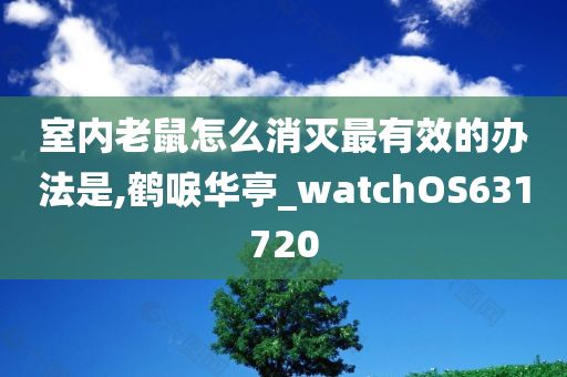 室内老鼠怎么消灭最有效的办法是,鹤唳华亭_watchOS631720