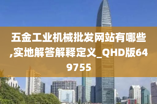 五金工业机械批发网站有哪些,实地解答解释定义_QHD版649755