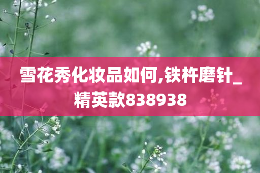 雪花秀化妆品如何,铁杵磨针_精英款838938