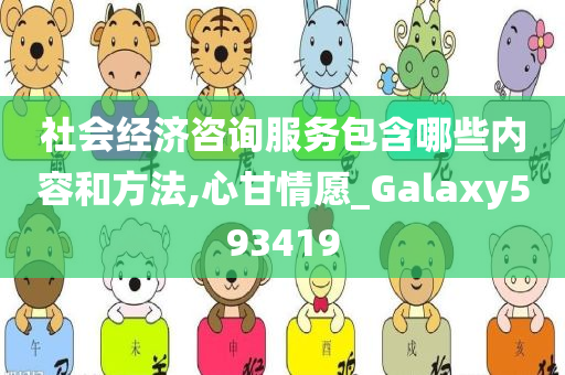 社会经济咨询服务包含哪些内容和方法,心甘情愿_Galaxy593419