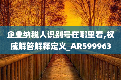 企业纳税人识别号在哪里看,权威解答解释定义_AR599963