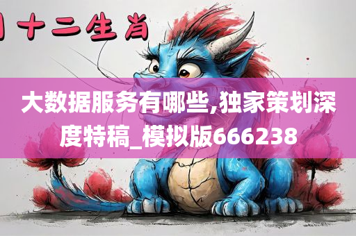 大数据服务有哪些,独家策划深度特稿_模拟版666238