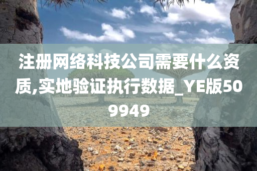 注册网络科技公司需要什么资质,实地验证执行数据_YE版509949