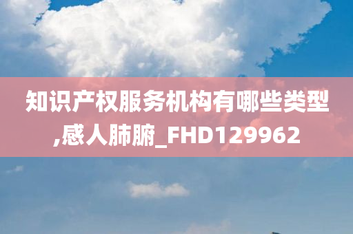 知识产权服务机构有哪些类型,感人肺腑_FHD129962