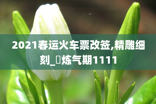 2021春运火车票改签,精雕细刻_‌炼气期1111