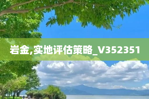 岩金,实地评估策略_V352351