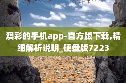 澳彩的手机app-官方版下载,精细解析说明_硬盘版7223