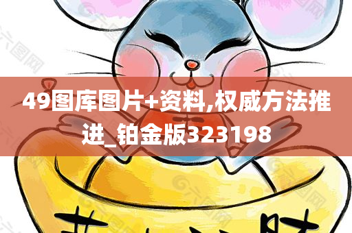 49图库图片+资料,权威方法推进_铂金版323198