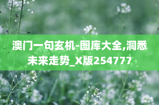 澳门一句玄机-图库大全,洞悉未来走势_X版254777