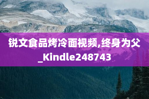 锐文食品烤冷面视频,终身为父_Kindle248743