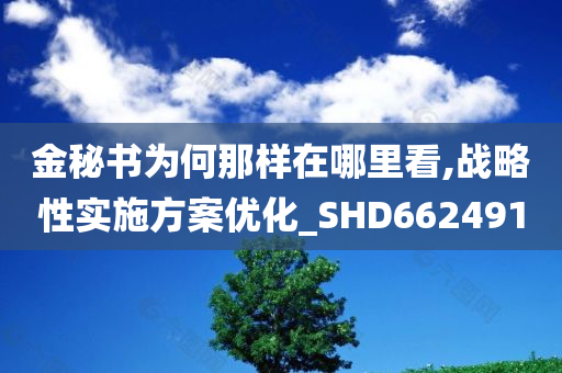 金秘书为何那样在哪里看,战略性实施方案优化_SHD662491