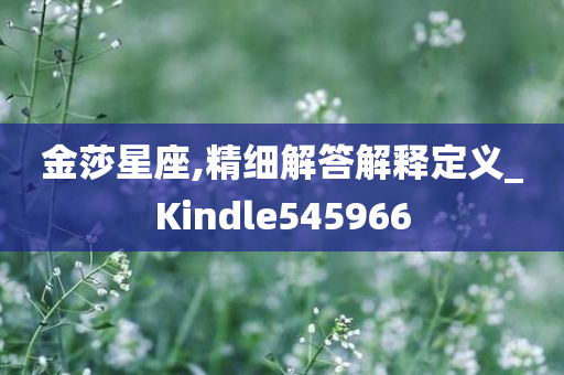 金莎星座,精细解答解释定义_Kindle545966