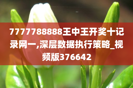 7777788888王中王开奖十记录网一,深层数据执行策略_视频版376642