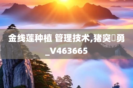 金线莲种植 管理技术,猪突豨勇_V463665