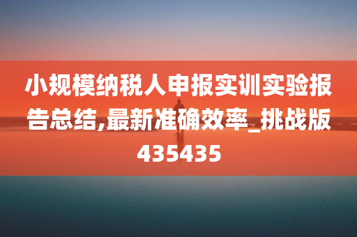 小规模纳税人申报实训实验报告总结,最新准确效率_挑战版435435