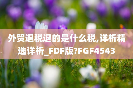 外贸退税退的是什么税,详析精选详析_FDF版?FGF4543