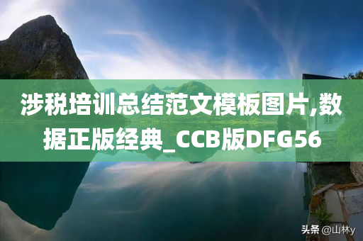 涉税培训总结范文模板图片,数据正版经典_CCB版DFG56