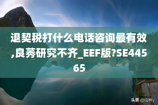 退契税打什么电话咨询最有效,良莠研究不齐_EEF版?SE44565