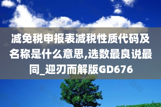 减免税申报表减税性质代码及名称是什么意思,选数最良说最同_迎刃而解版GD676