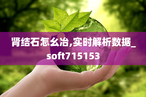 肾结石怎幺冶,实时解析数据_soft715153