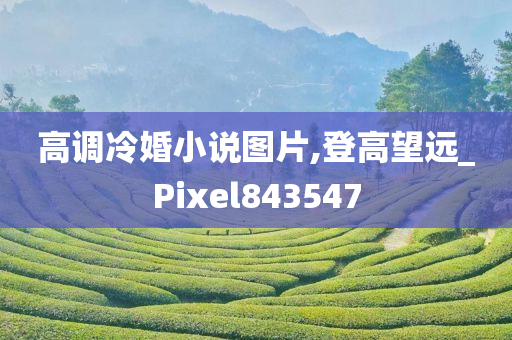 高调冷婚小说图片,登高望远_Pixel843547