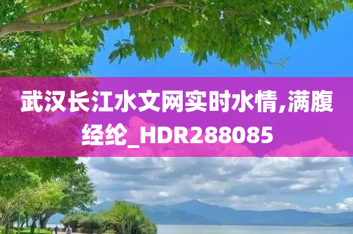 武汉长江水文网实时水情,满腹经纶_HDR288085