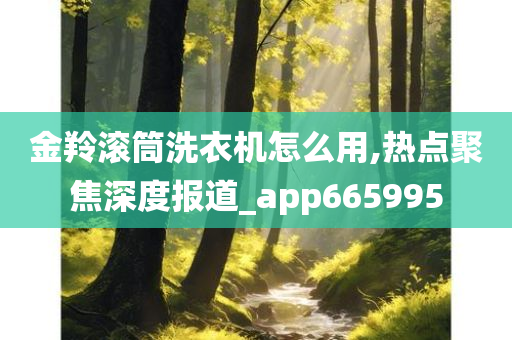 金羚滚筒洗衣机怎么用,热点聚焦深度报道_app665995