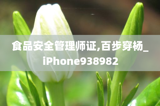 食品安全管理师证,百步穿杨_iPhone938982