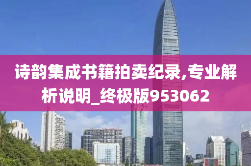 诗韵集成书籍拍卖纪录,专业解析说明_终极版953062