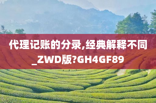 代理记账的分录,经典解释不同_ZWD版?GH4GF89