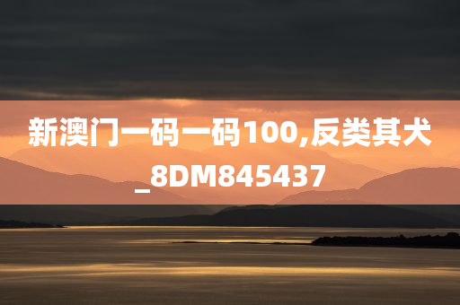 新澳门一码一码100,反类其犬_8DM845437