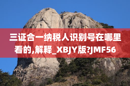 三证合一纳税人识别号在哪里看的,解释_XBJY版?JMF56