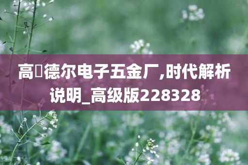 高埗德尔电子五金厂,时代解析说明_高级版228328