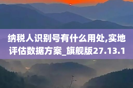 纳税人识别号有什么用处,实地评估数据方案_旗舰版27.13.10