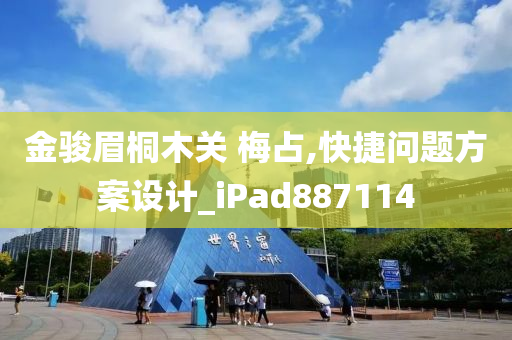 金骏眉桐木关 梅占,快捷问题方案设计_iPad887114