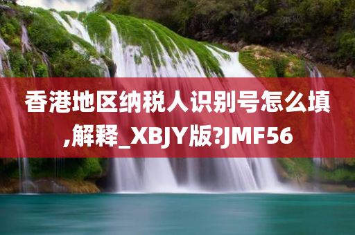 香港地区纳税人识别号怎么填,解释_XBJY版?JMF56