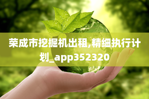 荣成市挖掘机出租,精细执行计划_app352320