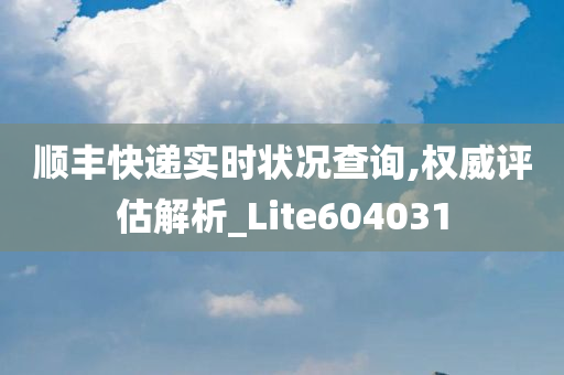 顺丰快递实时状况查询,权威评估解析_Lite604031