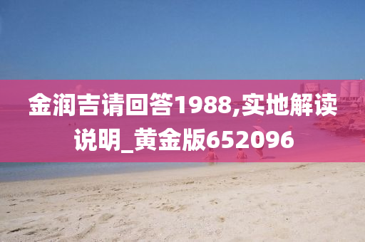 金润吉请回答1988,实地解读说明_黄金版652096