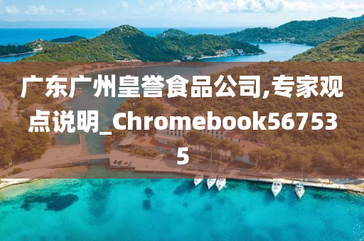 广东广州皇誉食品公司,专家观点说明_Chromebook567535