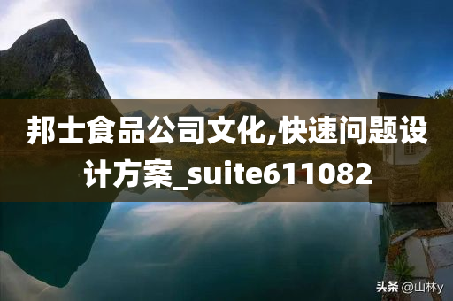 邦士食品公司文化,快速问题设计方案_suite611082