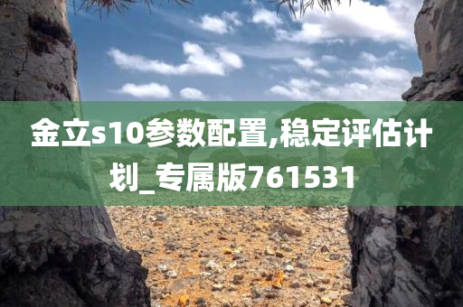 金立s10参数配置,稳定评估计划_专属版761531